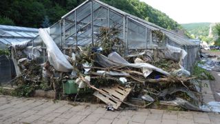 Une montée rapide des eaux a englouti des exploitations et pépinières localisées dans les vallées allemandes, jusqu’à 3 m sous l’eau. Après la décrue, reste le chaos. ©GV 